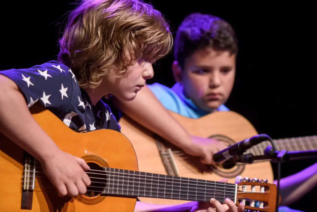 Gitaar