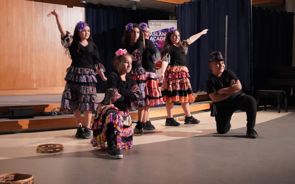 Orient Connection Junior